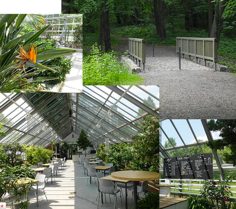 TOP 3 Biosphären & Botanische Gärten in & um Berlin